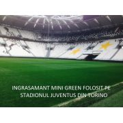 Ingrasamant Gazon ALL SEASON Poly Green 5 kg