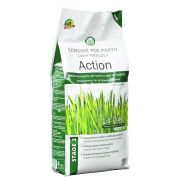 Ingrasamant Gazon Primavara/Toamna Action 4kg