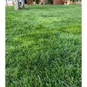 Ingrasamant de vara pentru Gazon SUMMER K 10kg
