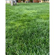 Ingrasamant de vara pentru Gazon SUMMER K