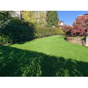 Ingrasamant foliar GREEN UP 5kg