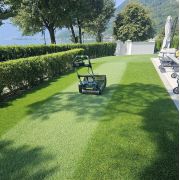 Seminte Gazon Royal Park 1Kg