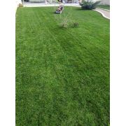 Seminte Gazon soare/seceta Maciste 5kg