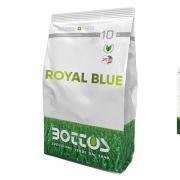 Seminte Gazon Royal Blue 5Kg