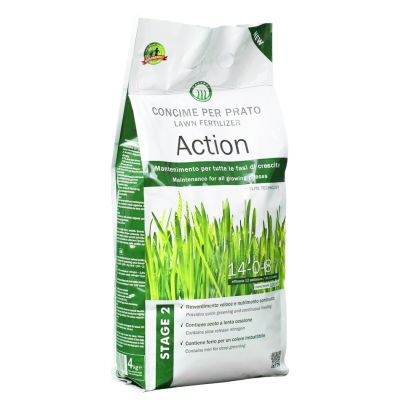 Ingrasamant Gazon Primavara/Toamna Action 4kg