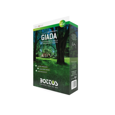Seminte gazon pentru umbra Giada 1kg