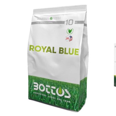 Seminte Gazon Royal Blue 5Kg