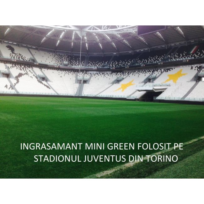 Ingrasamant Gazon ALL SEASON Poly Green 5 kg
