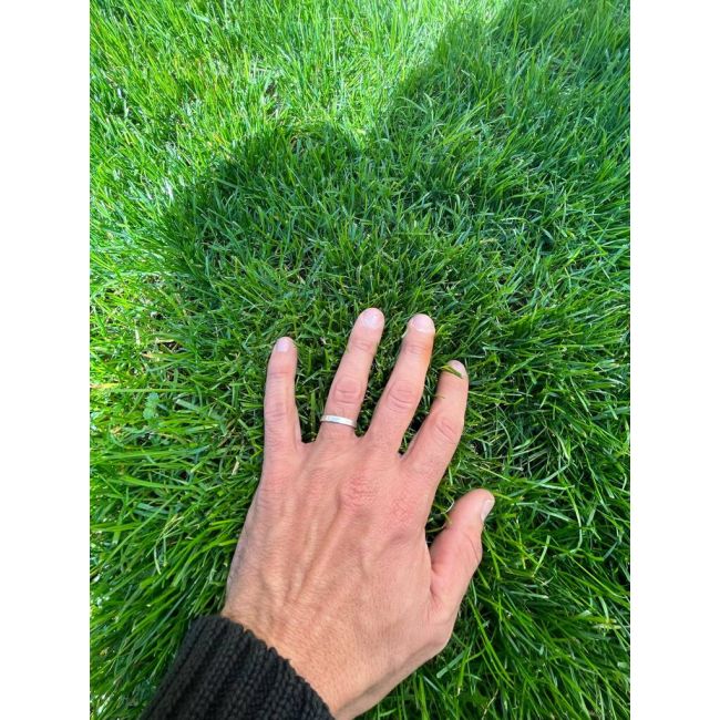 Ingrasamant foliar ALWAYS