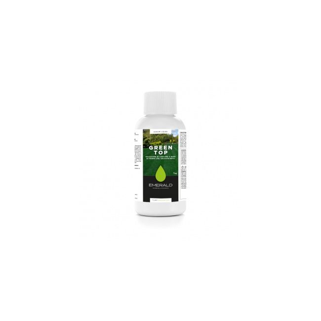 Ingrasamant foliar GREEN TOP - extra fier pt înverzire