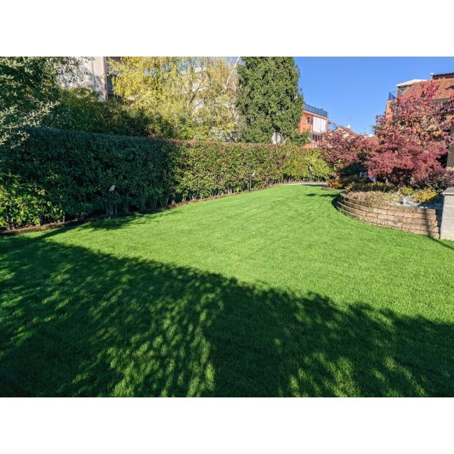 Ingrasamant foliar GREEN UP 5kg