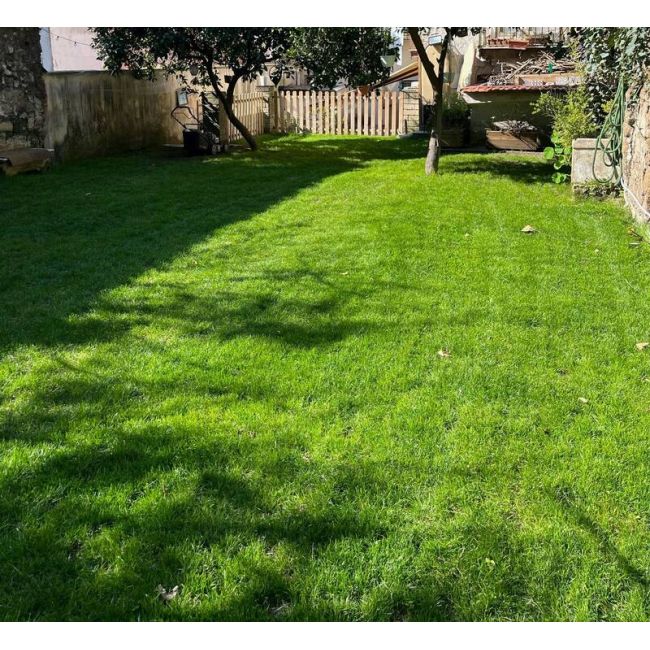 Ingrasamant lichid NEW RADICAL pentru fixarea radacinii 1kg