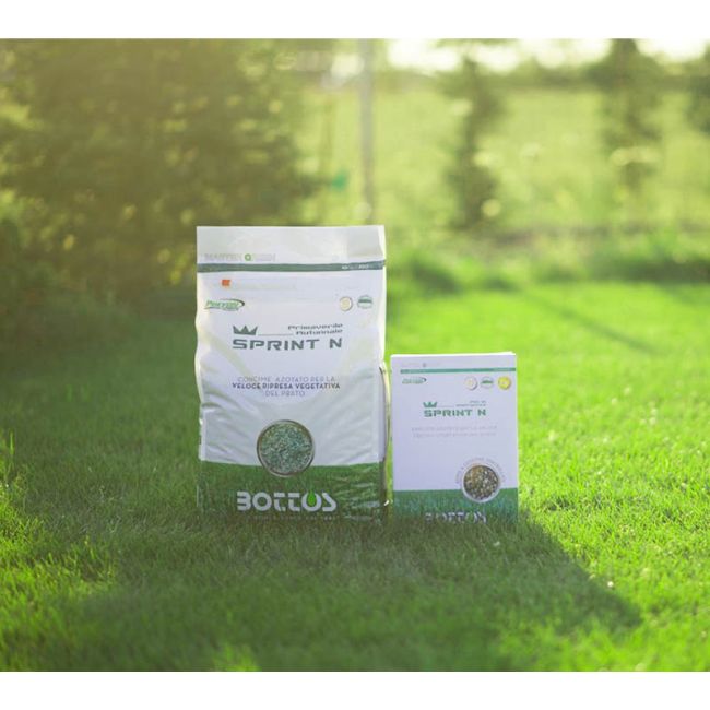 Ingrasamant pentru intretinere Sprint N 10kg