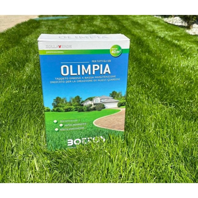 Seminte Gazon soare sau umbra Olimpia 1Kg